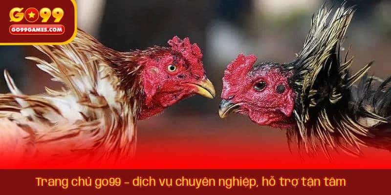 Trang chủ go99 – dịch vụ chuyên nghiệp, hỗ trợ tận tâm