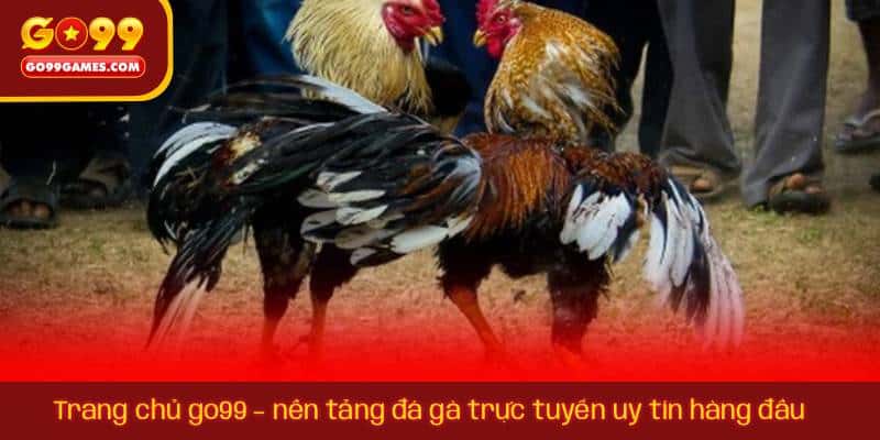 Trang chủ go99 – nền tảng đá gà trực tuyến uy tín hàng đầu